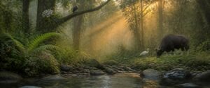 Ecology NEET PYQ analysis shown as a layered rainforest with an orchid, egret and stream